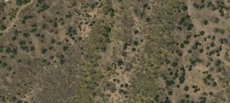Phelan Land with Development Potential