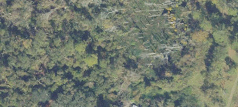 Commercial Land Near I-75