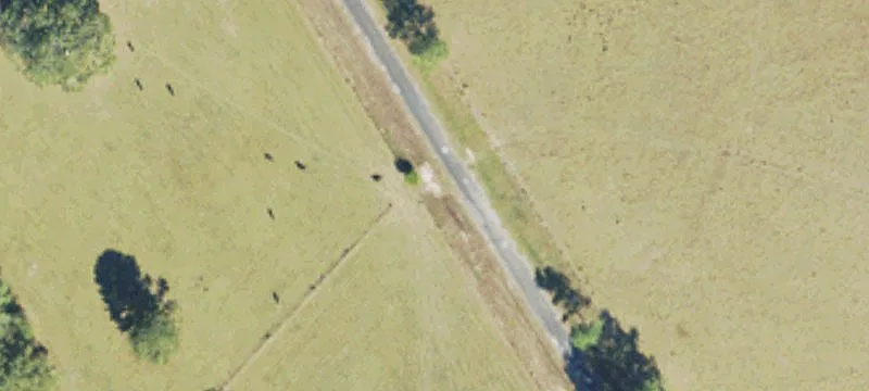 Jasper County Cattle Ranch