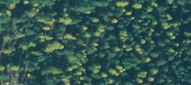 Residential Lot with Mountain Views