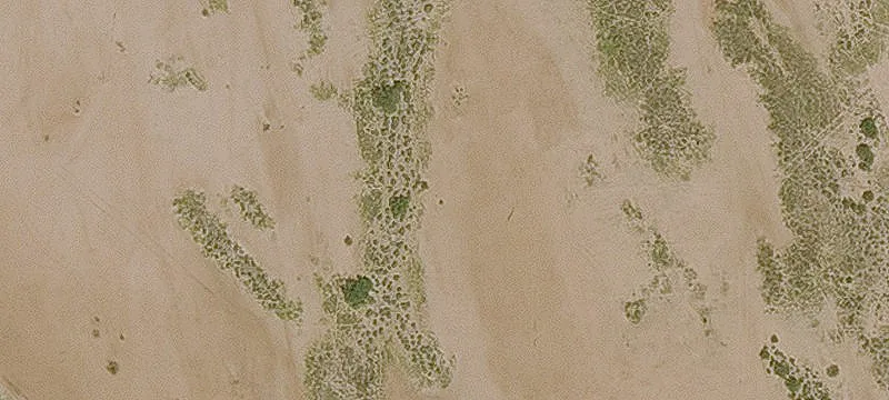 80 Acres Near Casa Grande