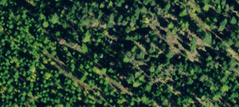 20-Acre Lot with Lake Views