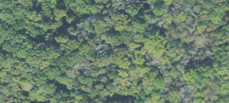 31 Acres Near US Hwy