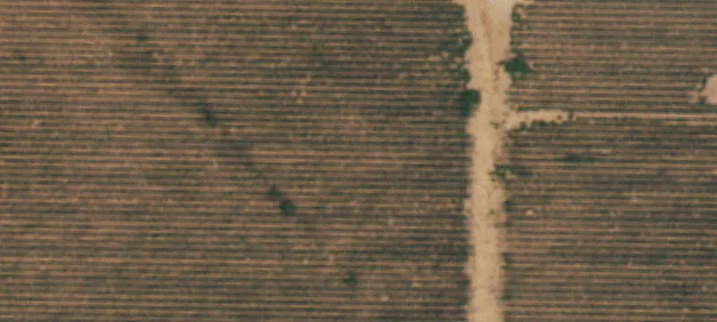 Slaughter Avenue Land Parcels