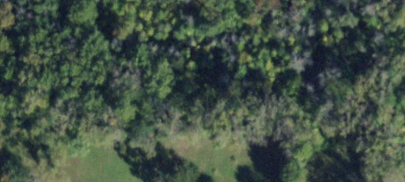 16 Acre Parcel in Chili