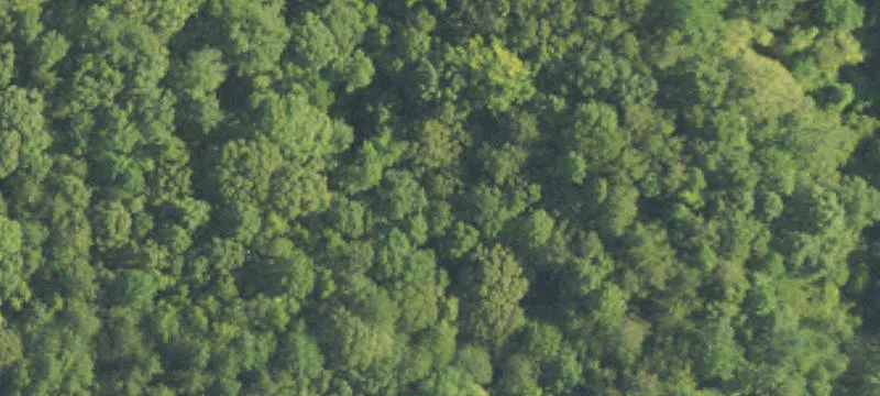 Land with I-65 Visibility