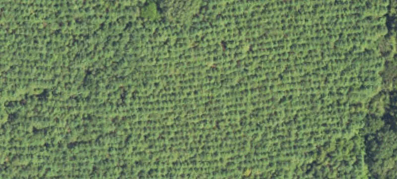 Undeveloped Land Near I-220