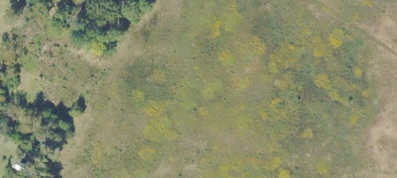 Residential Homesite Near Statesboro, GA