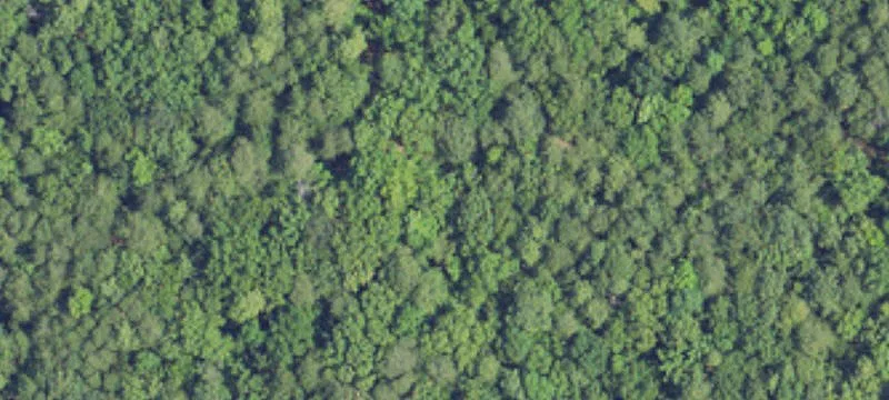 294 Acres Ideal Development Property