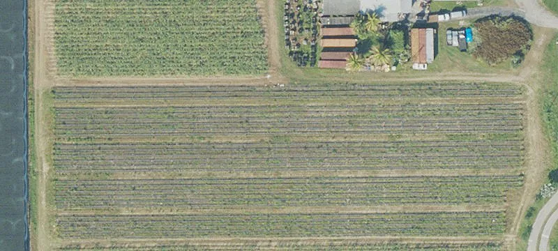 Krome Avenue Warehouse on Acreage