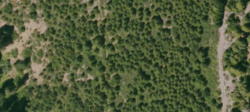Incredible Mountain Property Near Bucks Lake