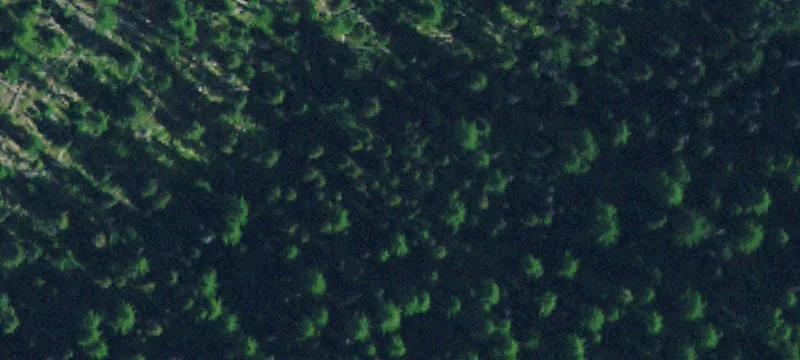 Maclay Ranch: Expansive Land Holding