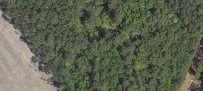 Large Land Parcel For Sale