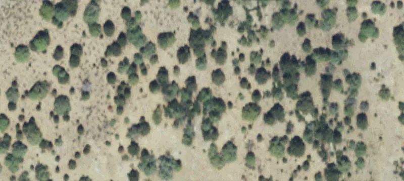 Land Near Navajo Lake