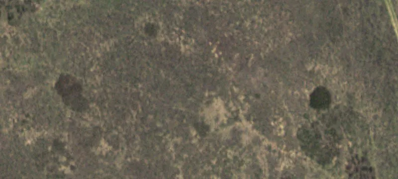 60 Acres of West Texas Land
