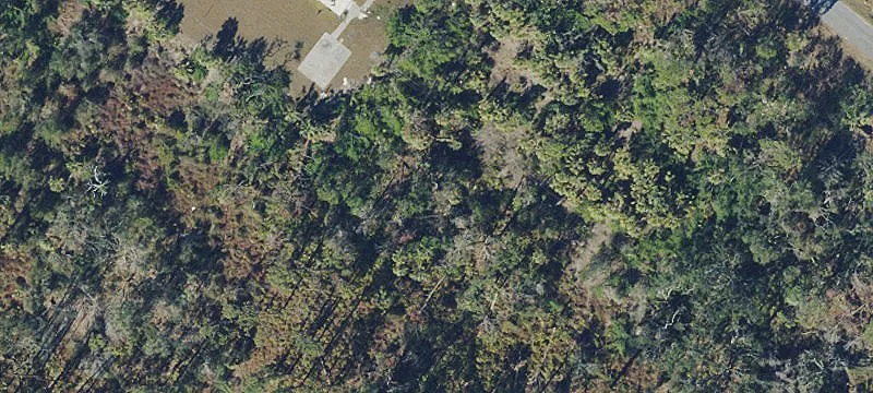 Vacant Building on 12.4 Acres