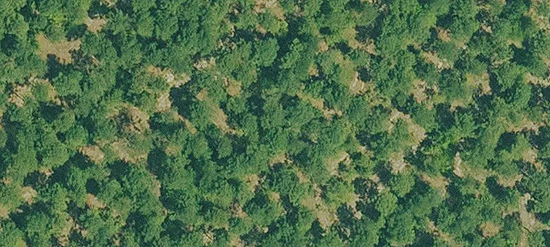 Magnolia, AR Hunting/Homesite Land