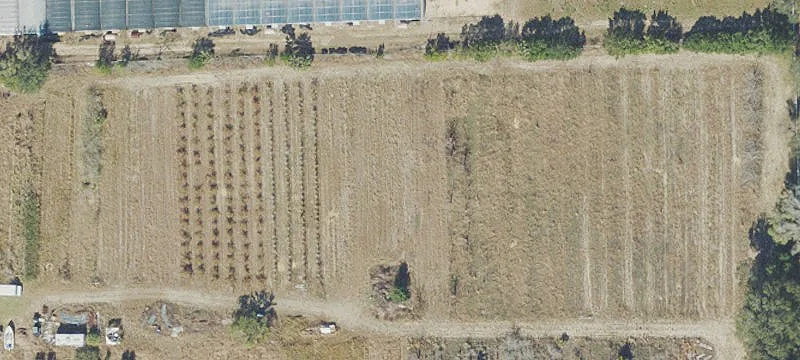 Prime Commercial Land Opportunity