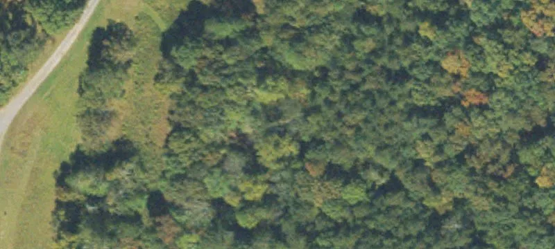 Land Near Dalton Schools, Park