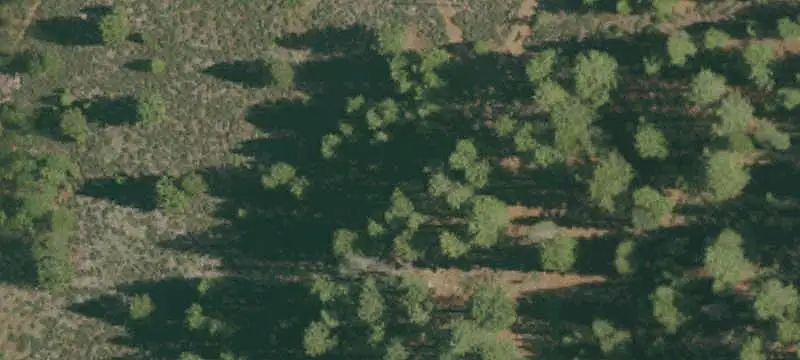 Prime Development Land in Truckee