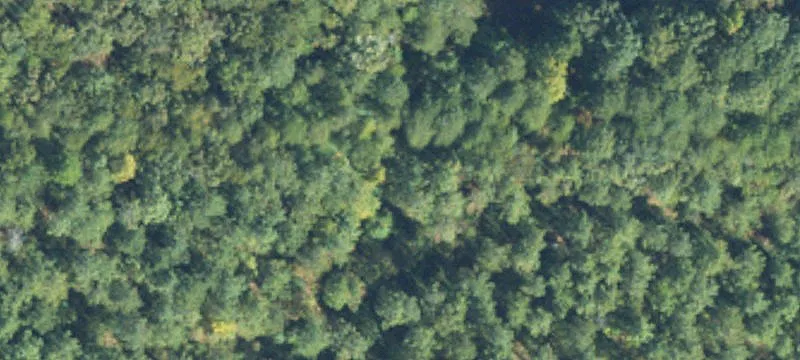 Commercial Land For Sale