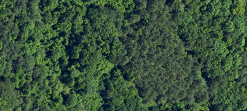 37.81 Acres Zoned R2
