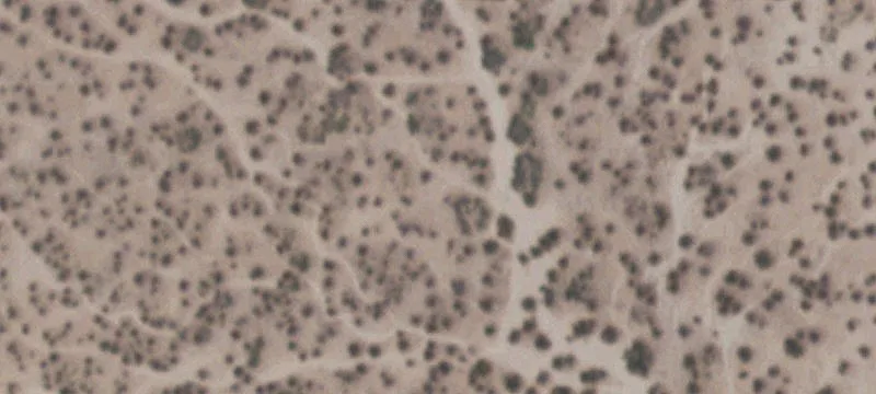 Land Near Union Pacific Facility