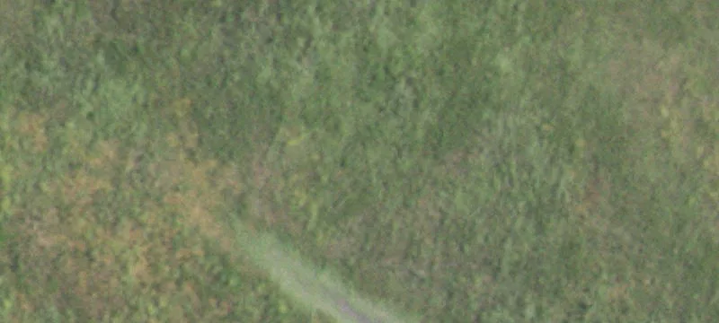 103 Acres in Caddo Mills