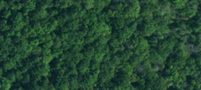 6.3 Acres Development Opportunity