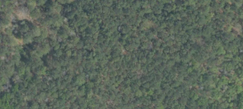 21.81 Acres Prime Land