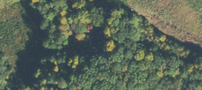 20+ Acre Buford Land Parcel