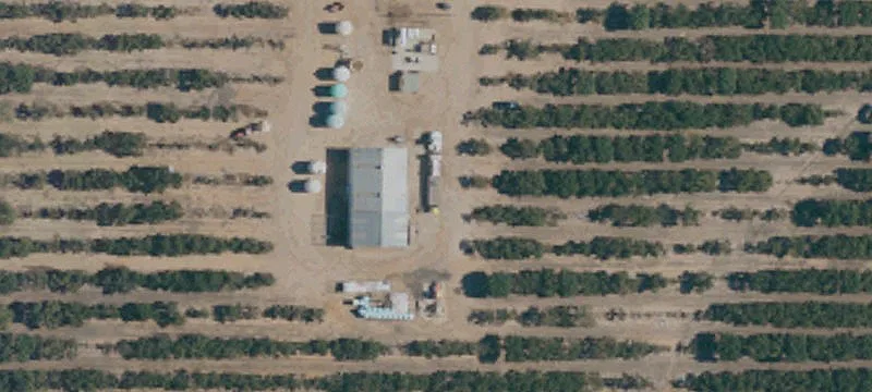 Madera Pistachio Orchard Opportunity