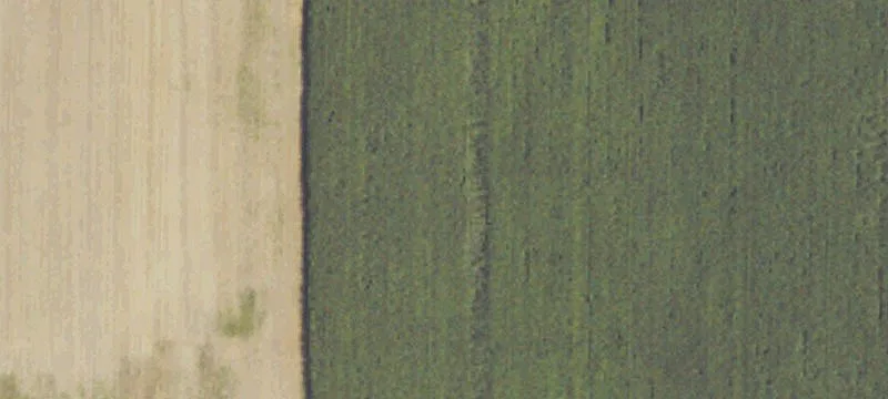 Vacant Land Ready for Development