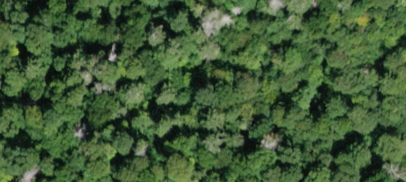Catskills Glamping Resort Development Opportunity