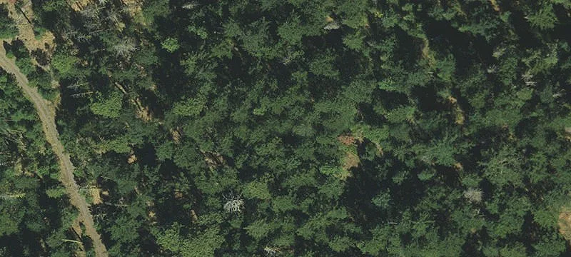 Ready Campground Development Site