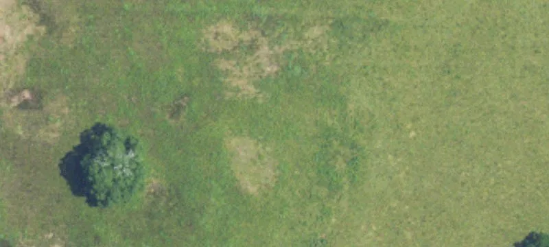 Bankhead Forest Hunting Land