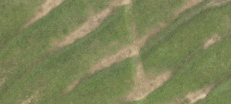 640 Acres of Dryland Farmland