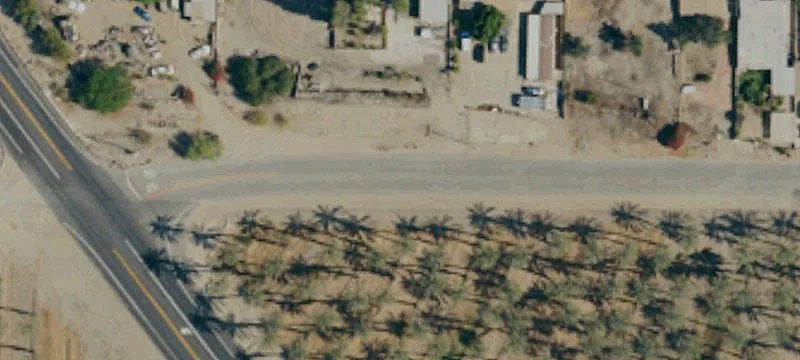 Kelsey Ranch Date Tree Farm