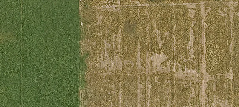 Casa Grande Farmland Opportunity