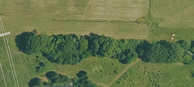 30.42 Acre Parcel in Conway