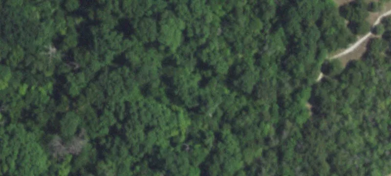 Land For Lease