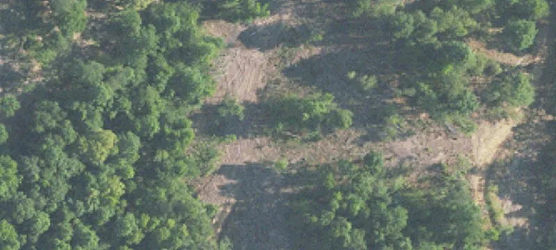 156 Acres on Highway 78