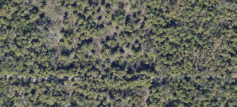 Captiva Beach Front Land