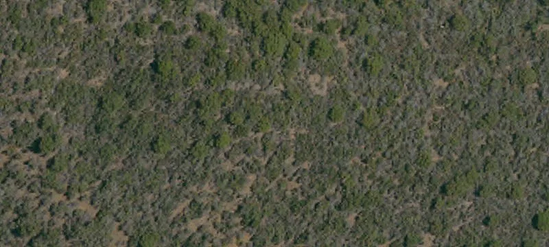 Remote Recreational Agricultural Land Parcel