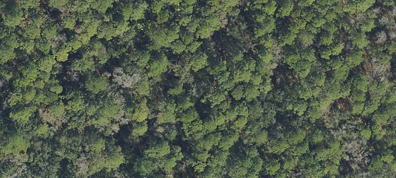 Commercial Land Near I-95