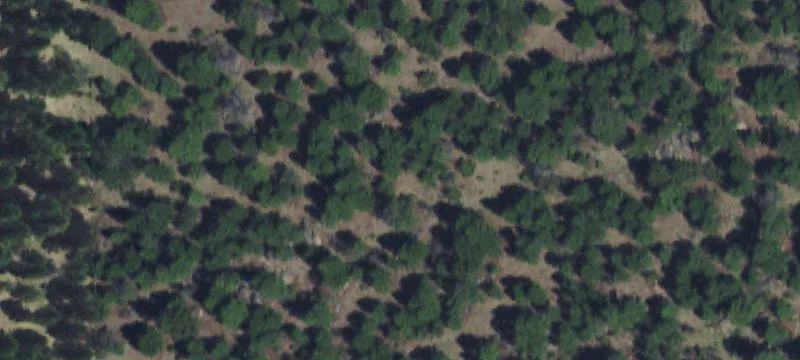 113 Acres with Mountain Views