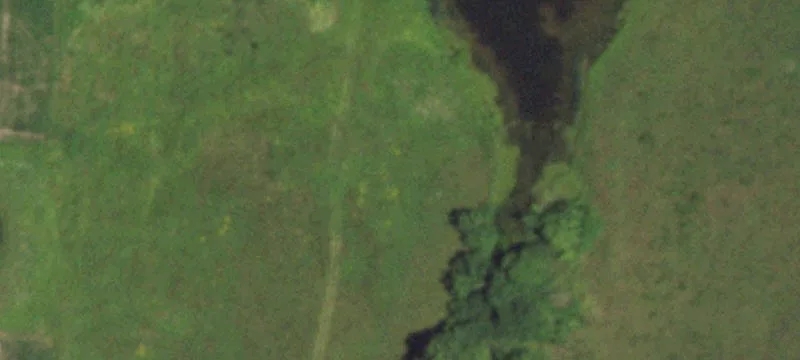 Business for Sale, Land