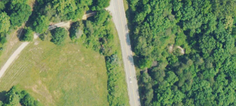Wooded Acreage Near Phil Campbell