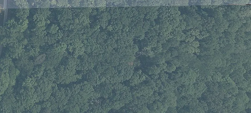 Wooded Lot in Gated Community