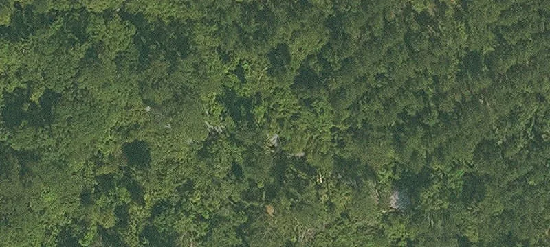 274 Acres at I-12 Interchange